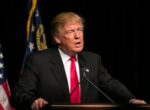 AFP: Трамп продолжает работать над возможной встречей Путина и Зеленского