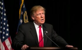 AFP: Трамп продолжает работать над возможной встречей Путина и Зеленского