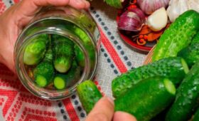 Врач Писарева: частое употребление маринованных овощей грозит отеками и гастритом
