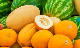 Около 47 тонн арбузов и дынь проданы на столичных ярмарках
