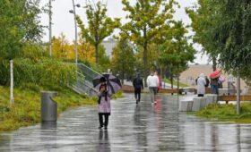 Ноябрь 2025 года может побить рекорд по осадкам в Москве