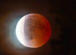 Астроном Кошман: москвичи увидят покрасневшую из-за затмения Луну 7 сентября