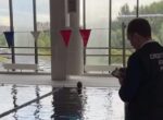 Уголовное дело возбуждено после смерти мужчины в бассейне Петербурга