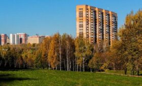 Начало сентября в Москве ожидается по-летнему теплым