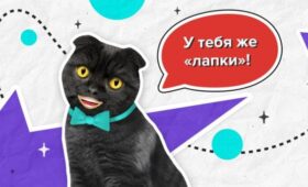 Мини-апп появился в телеграм-канале “Москва 24”