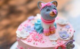 Россияне чаще всего заказывают торты с изображениями котов и Гарри Поттера