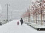 Синоптик Тишковец: в Москве снежный покров начнет формироваться к концу ноября
