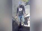 CNN: подозреваемый в убийстве Кирка признался в содеянном отцу