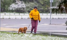 Первый мокрый снег может пройти в Москве в конце рабочей недели