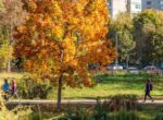 «Старое бабье лето» и золотая осень придут в Москву в конце сентября