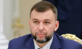 Пушилин заявил о контроле ВС РФ всего юга ДНР после взятия Камышевахи