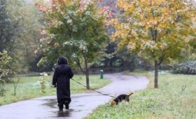 Первый снег в Москве может выпасть уже в начале октября