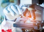 Врач Мескина: грибок Candida auris передается контактным способом