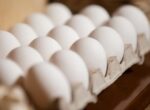 «Коммерсант»: в России зафиксировано перепроизводство яиц