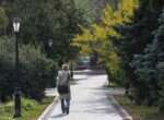 Переменная облачность без осадков ожидается в Москве 12 сентября