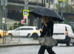 Метеорологическая осень начнется в Центральной России на следующей неделе