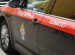 Бастрыкин затребовал доклад об избиении школьника в подмосковных Химках