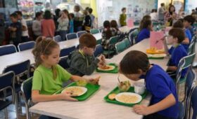 Ростовский губернатор назвал дискриминацией таблички в школьной столовой