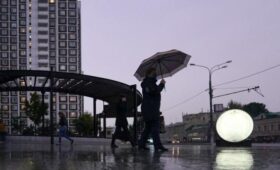 МЧС предупредило москвичей о сильном дожде и ветре