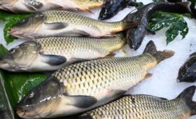 В Госдуме предложили продавать рыбу за полцены по четвергам