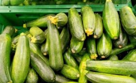 Врач Марино: горькие кабачки содержат опасный токсин