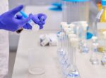 Очаги птичьего гриппа зарегистрированы в некоторых регионах России