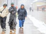 Снег выпадет на европейской части России на этой неделе
