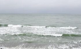 В МИД РФ заявили о разведдеятельности НАТО на Балтике и в Черном море