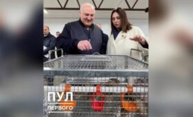 Лукашенко получил в подарок перепелок