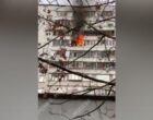 Огнеборцы ликвидировали пожар в квартире на юго-востоке Москвы