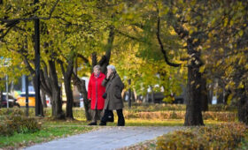 25 октября может стать самым теплым днем недели в Москве