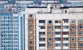 Эксперт Уражевский: собаки могут оказаться на улице при запрете их содержания в МКД