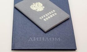 Адвокат Багатурия: за предоставление подложного диплома грозит уголовная ответственность