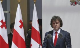 Премьер Грузии обвинил посла ЕС в беспорядках в Тбилиси