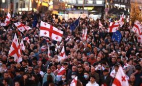 Глава ОБСЕ оштрафована за посещение митинга в Тбилиси