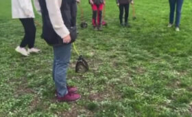 Психиатр Соловьева: хоббидогинг может указывать на проблемы с социализацией