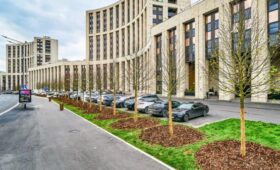 Высадка деревьев началась на проспекте Академика Сахарова в центре Москвы