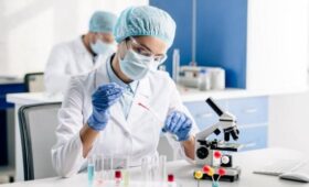 ChemSec: в крови 24 чиновников ЕС обнаружили токсичные «вечные химикаты»