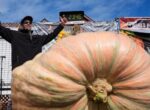 В США мужчина вырастил тыкву весом 1 064 килограмма
