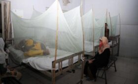 Более 3 тыс новых случаев заражения лихорадкой чикунгунья выявлены за неделю на юге Китая