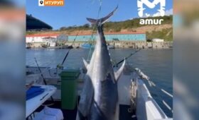 Рыбаки поймали гигантского тунца на Курилах