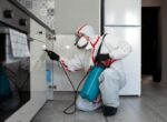 Эксперт Бондарь: из-за тараканов у соседа можно потребовать компенсации морального вреда