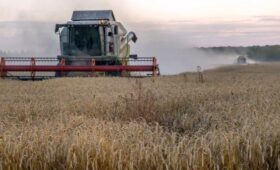 СВР заявила о желании Армении отказаться от российского зерна в пользу украинского