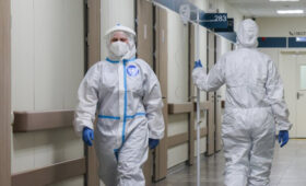 Роспотребнадзор исключил возможность распространения лихорадки денге в России