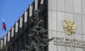 СФ одобрил закон о пенсии детям, зачатым методом ЭКО после смерти отца