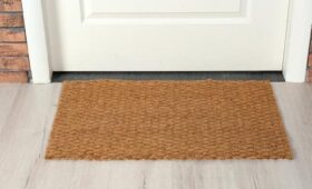 Юрист Салкин: придверный коврик должен находиться в соответствии с пожарной безопасностью