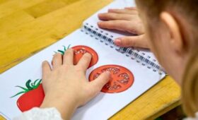 Более 10 миллионов рублей направили участники городской программы незрячим детям