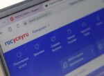 Сервис для проверки нянь может появиться на портале «Госуслуги»
