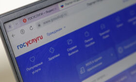 Сервис для проверки нянь может появиться на портале «Госуслуги»