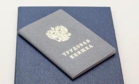 Депутат Нилов: отмены уже оформленных бумажных трудовых книжек не будет